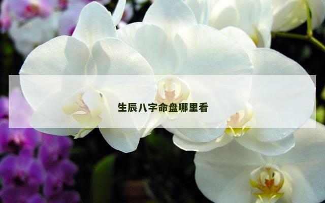 生辰八字命盘哪里看