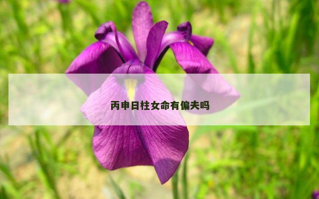 丙申日柱女命有偏夫吗