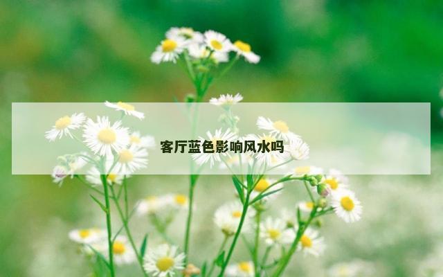 客厅蓝色影响风水吗