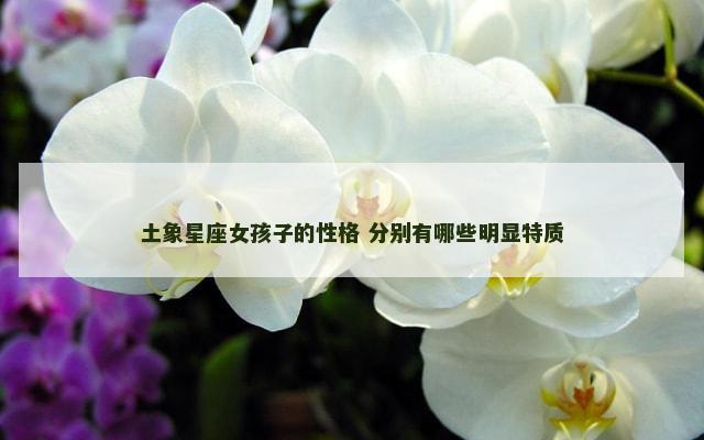 土象星座女孩子的性格 分别有哪些明显特质
