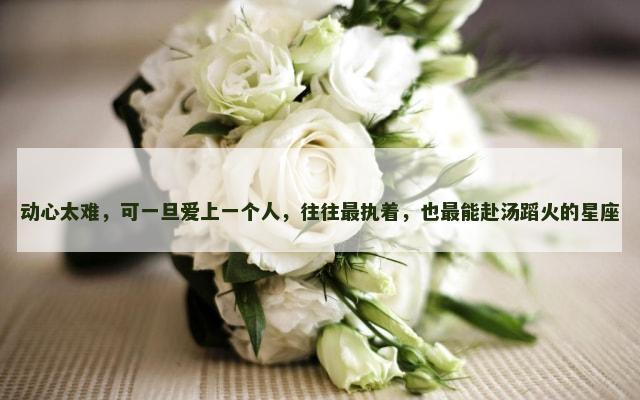 动心太难，可一旦爱上一个人，往往最执着，也最能赴汤蹈火的星座