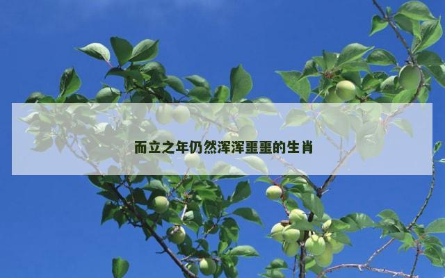 而立之年仍然浑浑噩噩的生肖