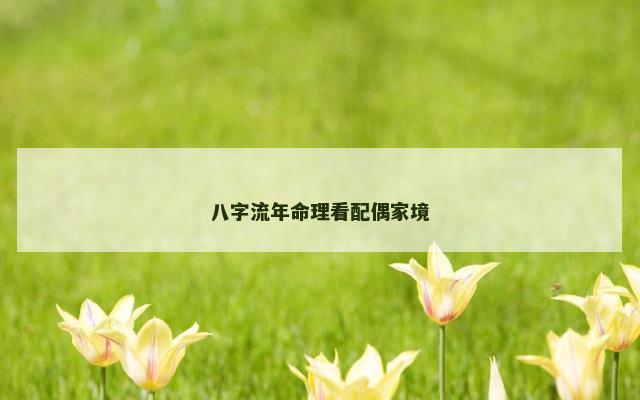 八字流年命理看配偶家境