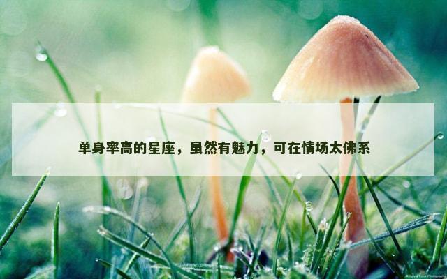 单身率高的星座，虽然有魅力，可在情场太佛系
