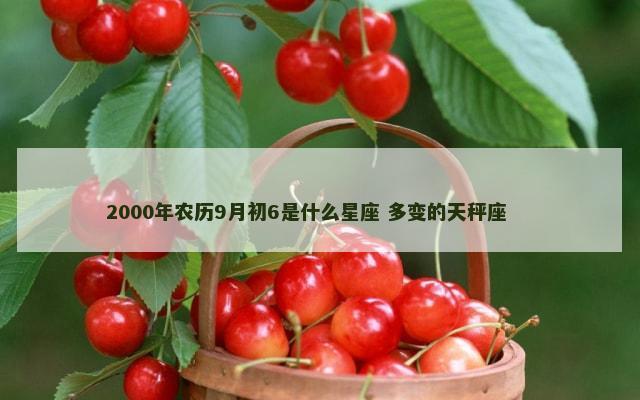 2000年农历9月初6是什么星座 多变的天秤座 　　