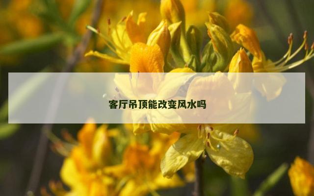 客厅吊顶能改变风水吗