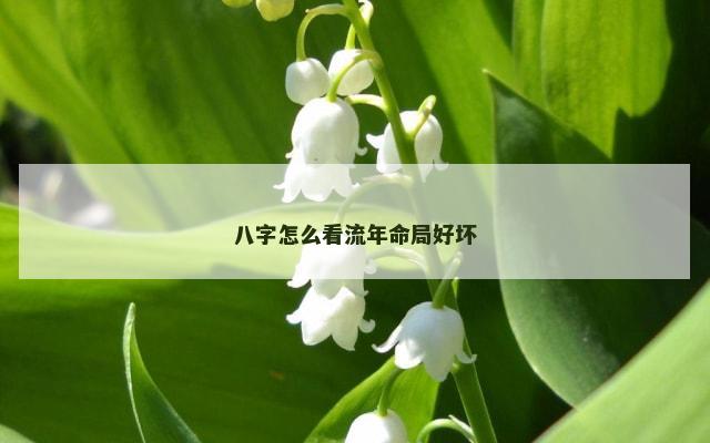 八字怎么看流年命局好坏