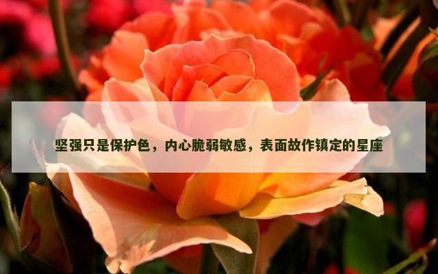 坚强只是保护色，内心脆弱敏感，表面故作镇定的星座