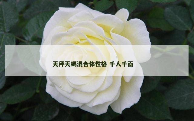 天秤天蝎混合体性格 千人千面 　　