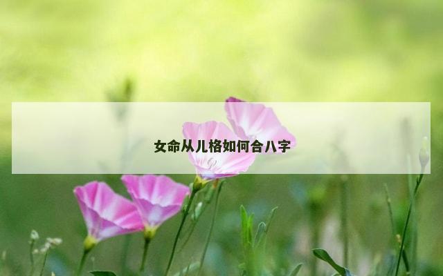 女命从儿格如何合八字