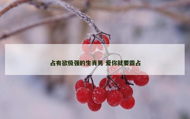 占有欲极强的生肖男 爱你就要霸占