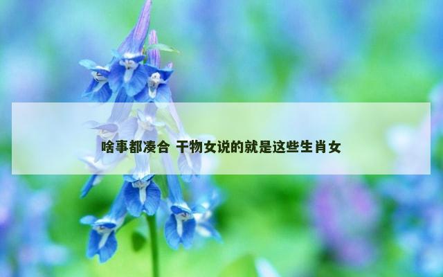 啥事都凑合 干物女说的就是这些生肖女