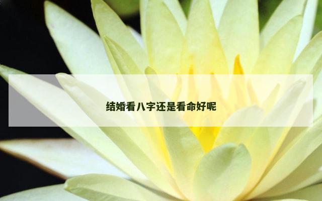 结婚看八字还是看命好呢