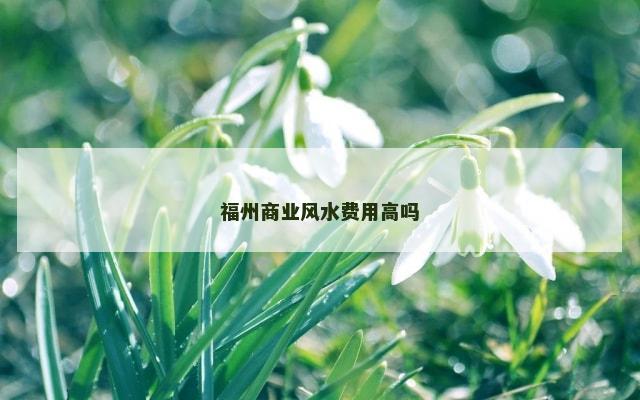 福州商业风水费用高吗