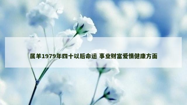 属羊1979年四十以后命运 事业财富爱情健康方面