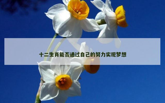 十二生肖能否通过自己的努力实现梦想