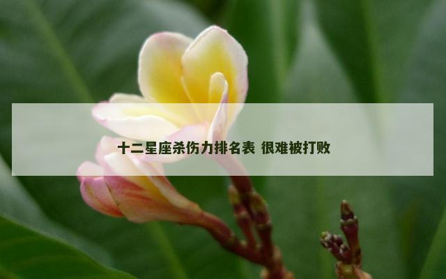 十二星座杀伤力排名表 很难被打败