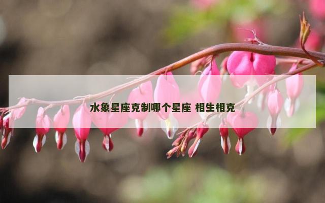 水象星座克制哪个星座 相生相克