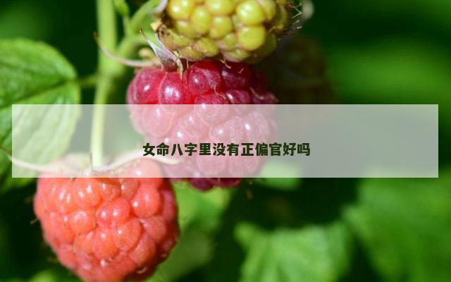 女命八字里没有正偏官好吗
