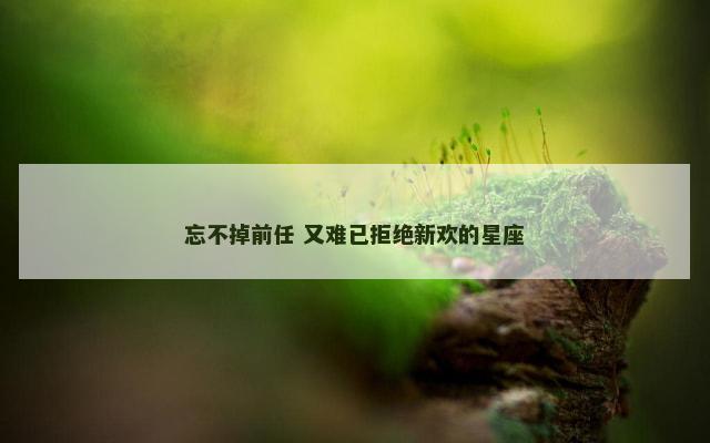 忘不掉前任 又难已拒绝新欢的星座