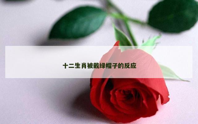 十二生肖被戴绿帽子的反应
