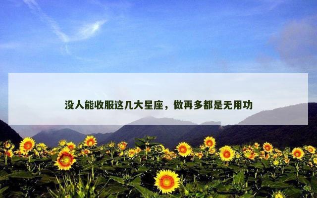 没人能收服这几大星座，做再多都是无用功