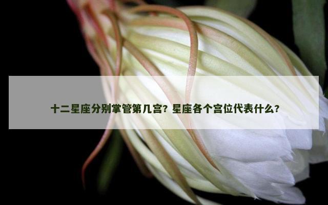 十二星座分别掌管第几宫? 星座各个宫位代表什么?
