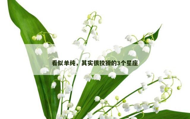 看似单纯，其实很狡猾的3个星座