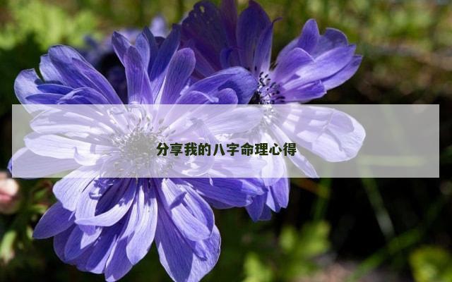 分享我的八字命理心得
