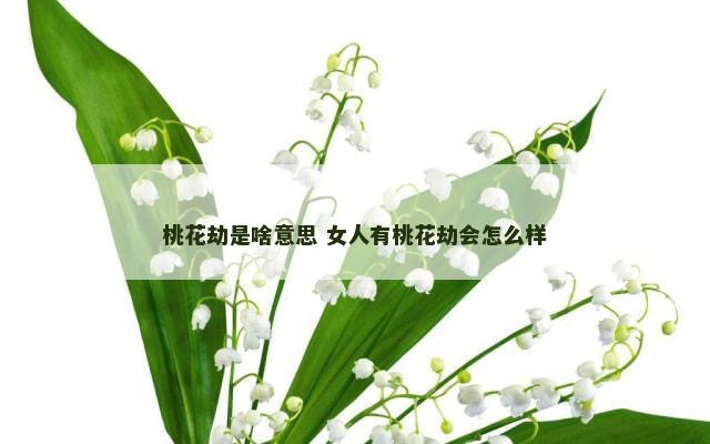 桃花劫是啥意思 女人有桃花劫会怎么样