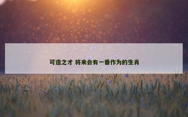 可造之才 将来会有一番作为的生肖