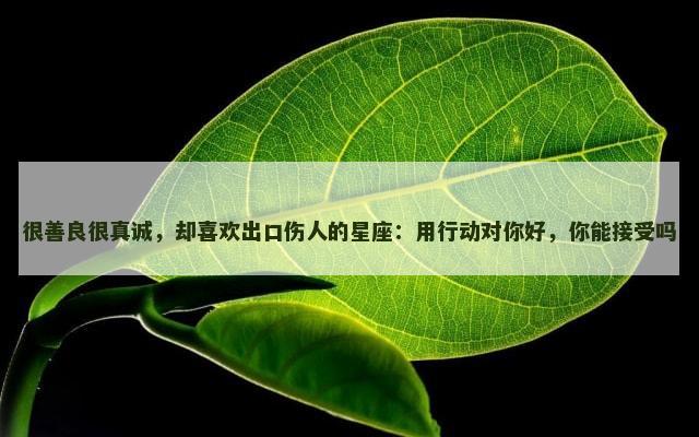 很善良很真诚，却喜欢出口伤人的星座：用行动对你好，你能接受吗