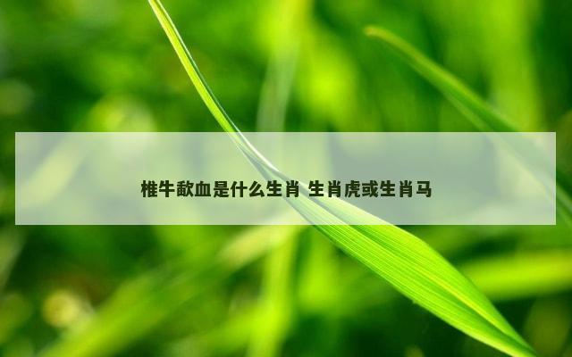 椎牛歃血是什么生肖 生肖虎或生肖马