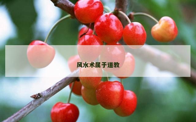风水术属于道教