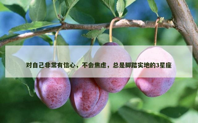 对自己非常有信心，不会焦虑，总是脚踏实地的3星座