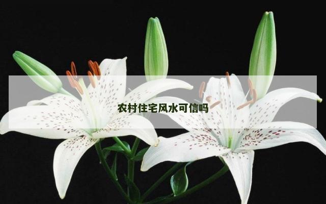 农村住宅风水可信吗