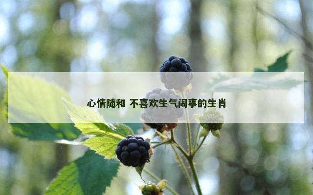 心情随和 不喜欢生气闹事的生肖