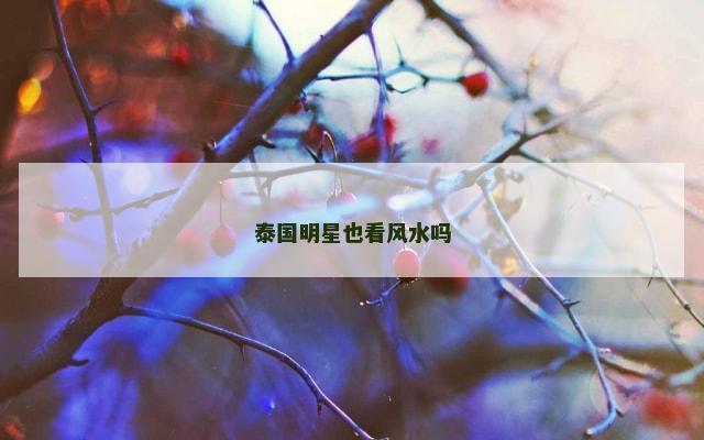 泰国明星也看风水吗