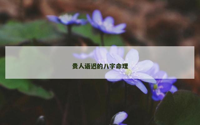 贵人语迟的八字命理