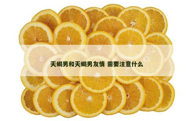 天蝎男和天蝎男友情 需要注意什么