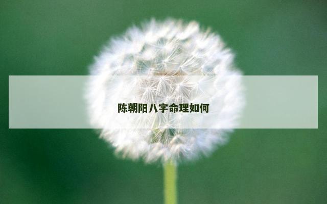 陈朝阳八字命理如何