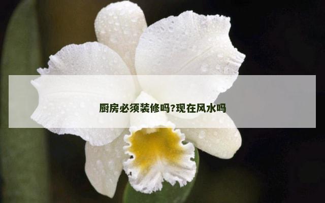厨房必须装修吗?现在风水吗