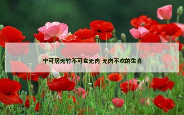 宁可居无竹不可食无肉 无肉不欢的生肖