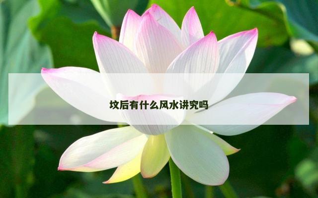 坟后有什么风水讲究吗