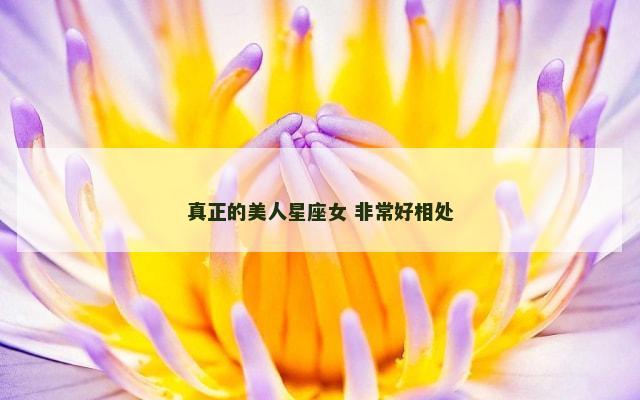 真正的美人星座女 非常好相处