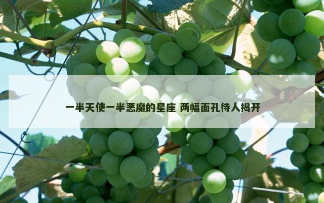 一半天使一半恶魔的星座 两幅面孔待人揭开