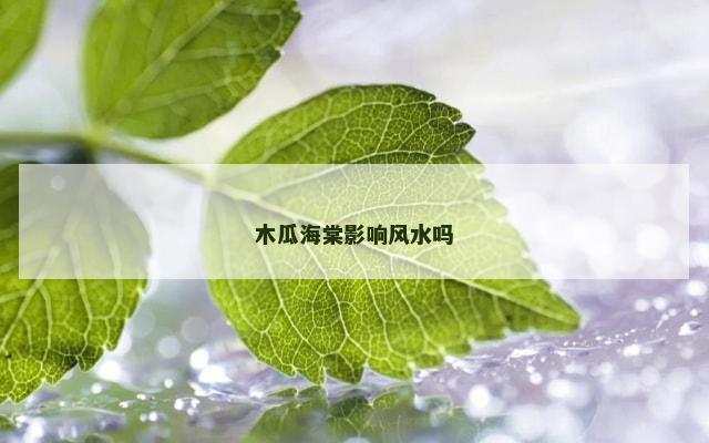 木瓜海棠影响风水吗