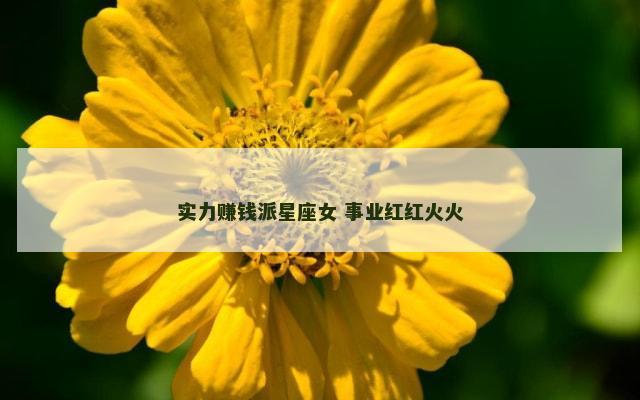 实力赚钱派星座女 事业红红火火