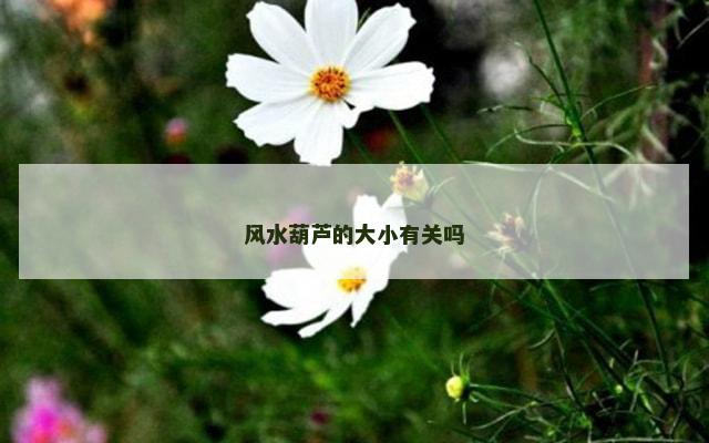 风水葫芦的大小有关吗