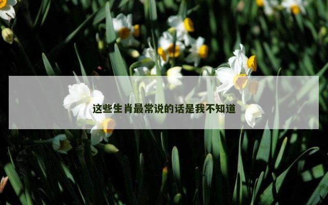 这些生肖最常说的话是我不知道